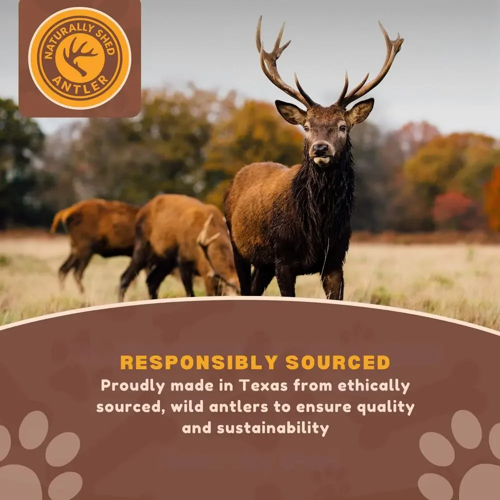 NWT WhiteTail Naturals - 3 Pack Medium Dog Chews - All Natural Antlers for Dogs